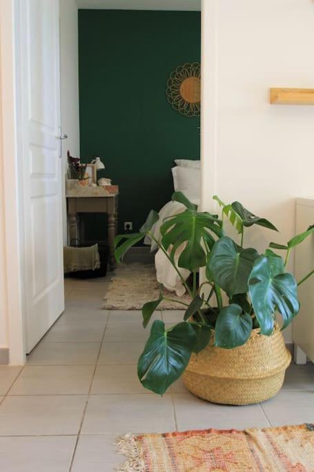 Cosy Appartement Entre Vignes Et Garrigue Avec Piscine Peret Экстерьер фото
